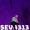 Seva313